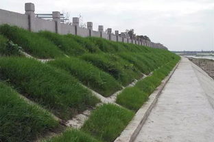 綿竹加強(qiáng)河道水環(huán)境治理，推進(jìn)生態(tài)環(huán)境檢測服務(wù)