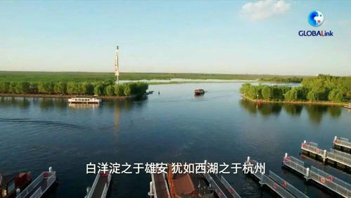 大美白洋淀 環(huán)境檢測服務(wù)助力生態(tài)保護(hù)